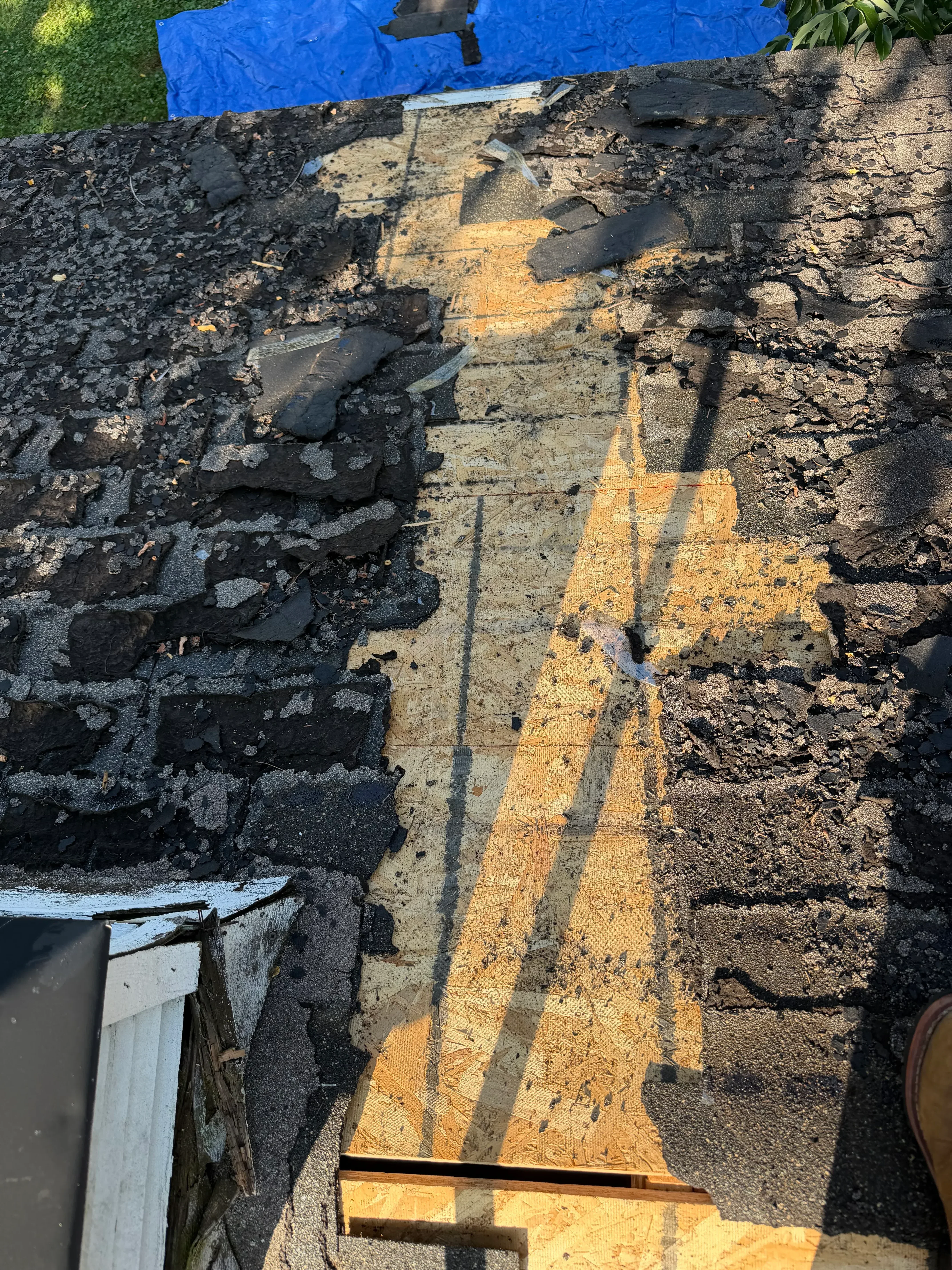 Roof deck stripped to bare wood and OSB sheathing after asphalt shingle removal